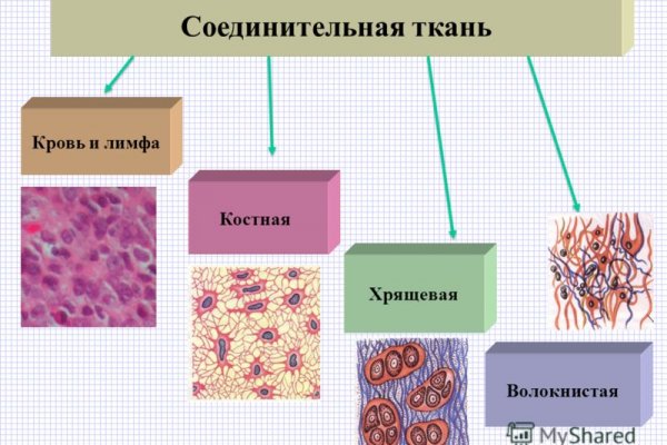 Что продает кракен