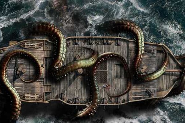 Как вывести деньги с kraken