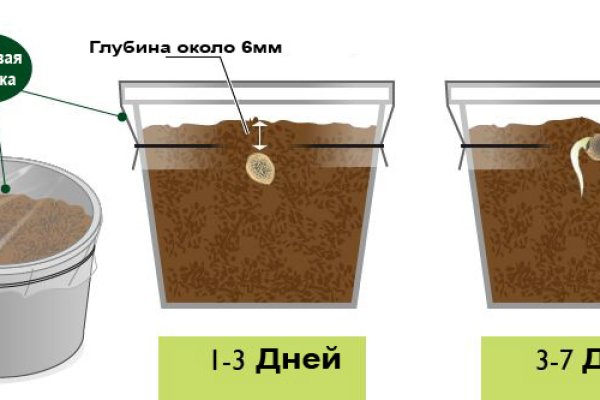 Как зарегаться в кракен